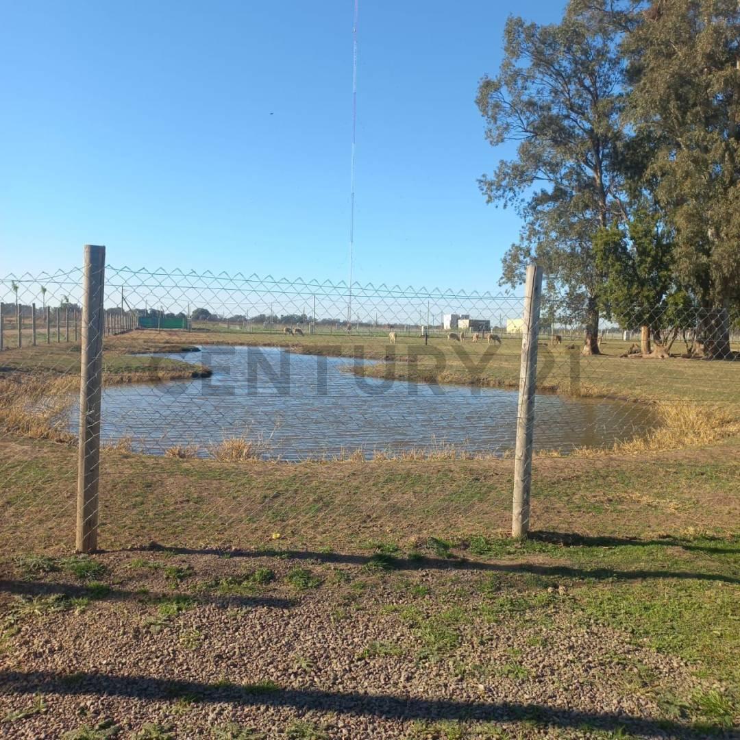 Foto de VENTA LOTE TERRENO RESERVA DEL OESTE GRAL RODRIGUEZ, imagen 5