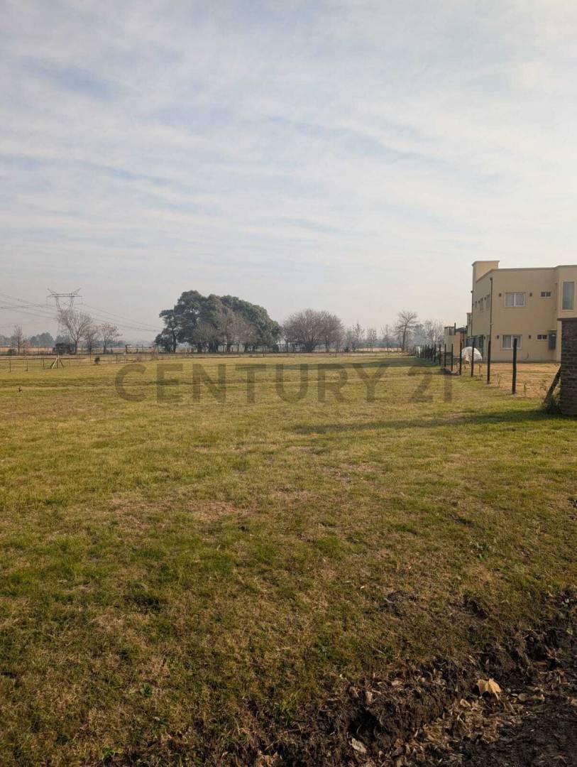 Foto de Venta de Lote en Club de Campo Altos de Manzanares, imagen 4
