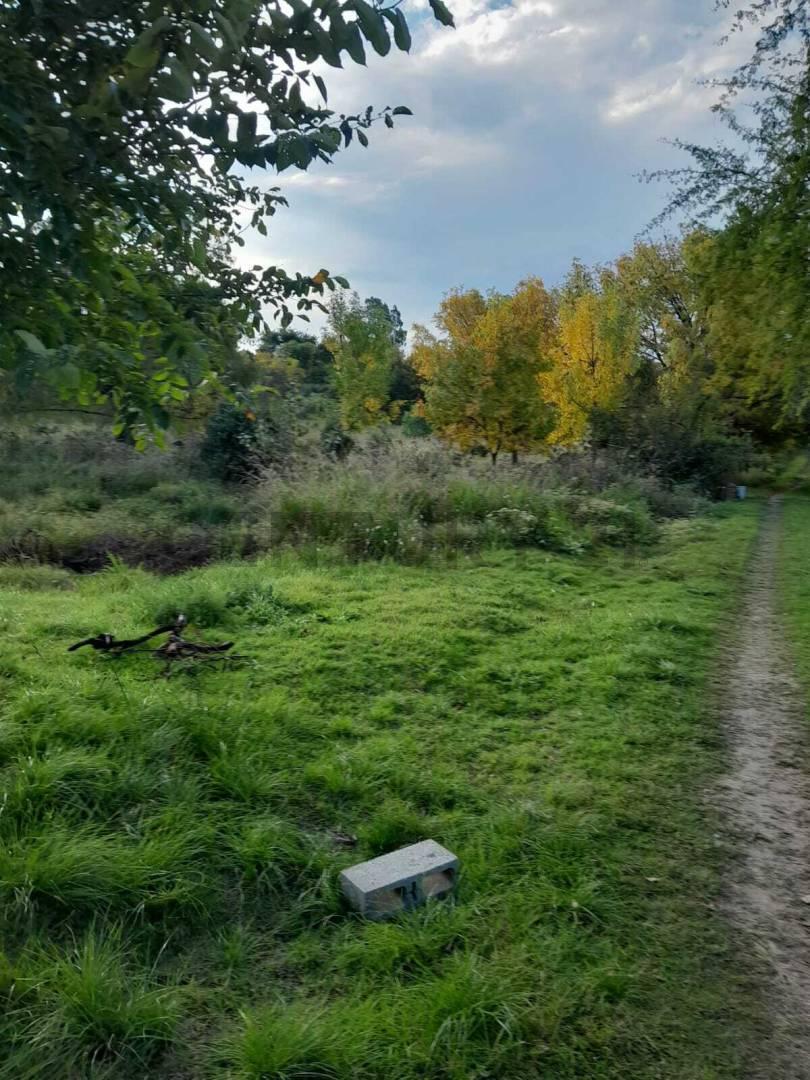 Foto de VENTA AMPLIO TERRENO CON DOS CABAÑAS - ZONA NORTE CONCEPCION DEL URUGUY, imagen 3