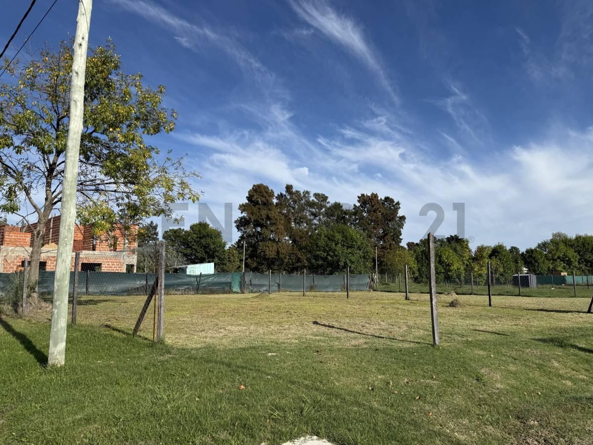 Foto de VENTA LOTE en Barrio Pampa Pilar – La Lonja, Pilar, imagen 4