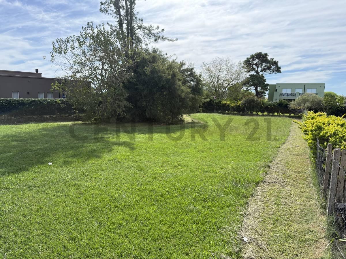 Foto de LOTE EN OPORTUNIDAD VENTA HARAS SANTA MARÍA, imagen 5