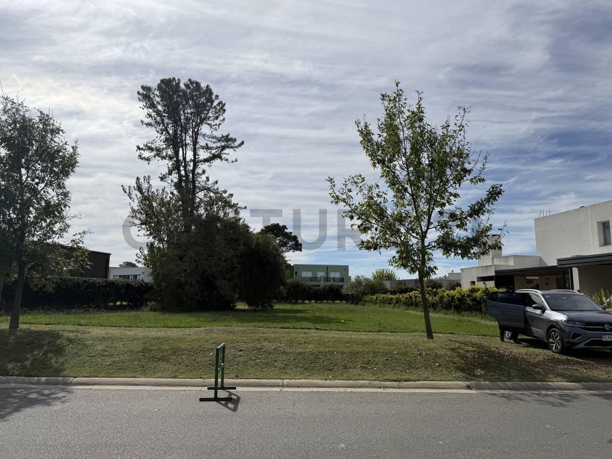 Foto de LOTE EN OPORTUNIDAD VENTA HARAS SANTA MARÍA, imagen 4