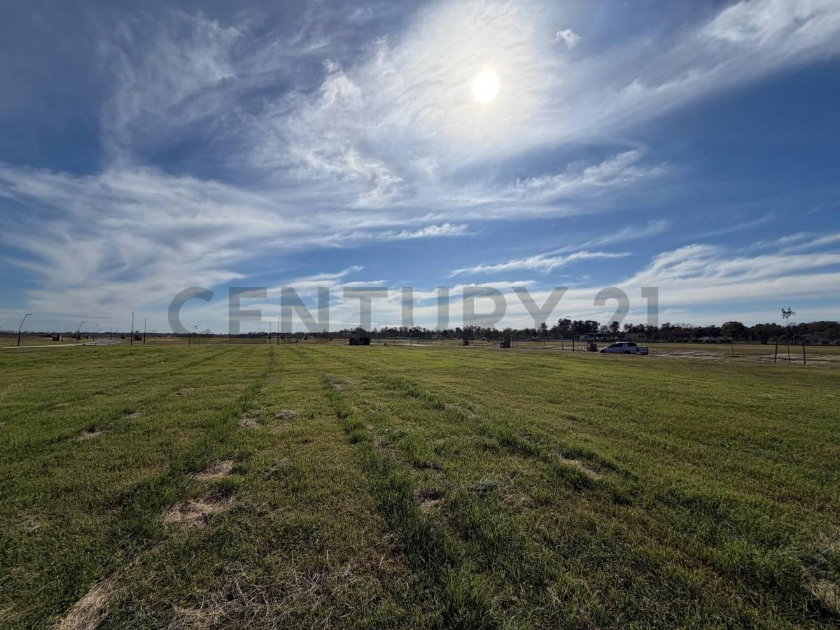 Foto de LOTE EN VENTA – ORILLAS – PUERTOS DEL LAGO, imagen 4