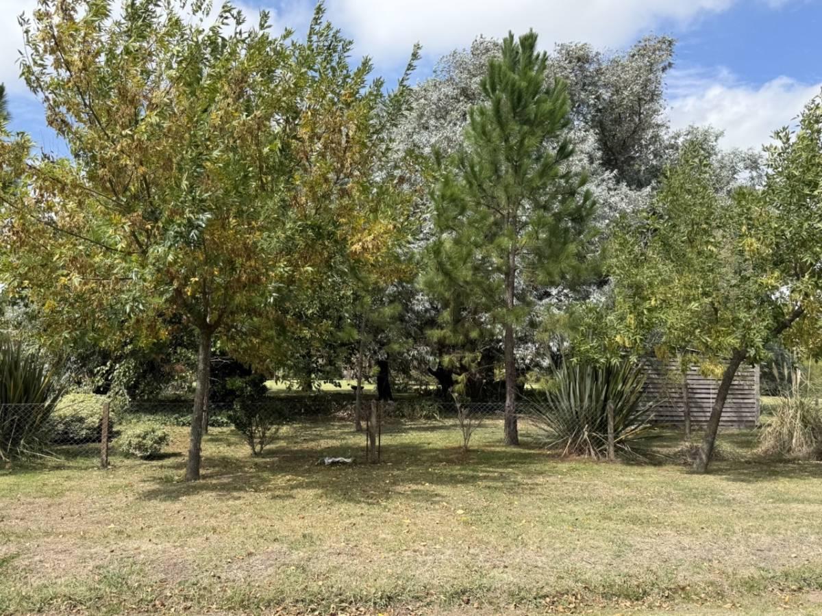 Foto de VENTA LOTE SAN VICENTE, imagen 4