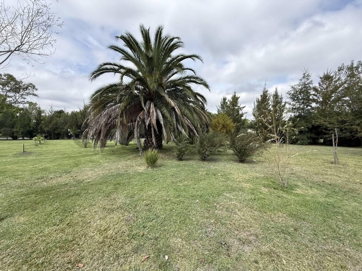 Foto de VENTA LOTE SAN VICENTE, imagen 5