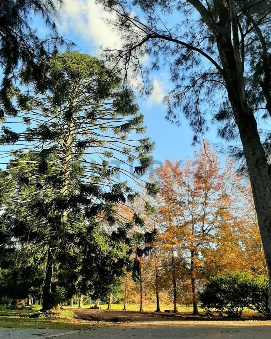 Foto de VENTA LOTE CLUB DE CAMPO LA ARBOLADA, imagen 3