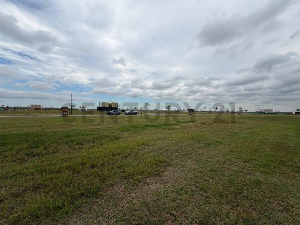 Foto de LOTE EN VENTA – NATIVAS – PUERTOS DEL LAGO, imagen 5