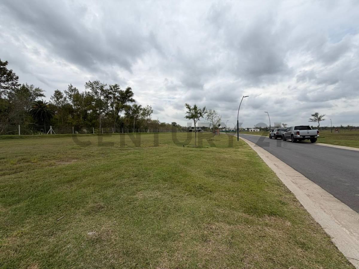 Foto de LOTE EN VENTA – NATIVAS – PUERTOS DEL LAGO, imagen 3