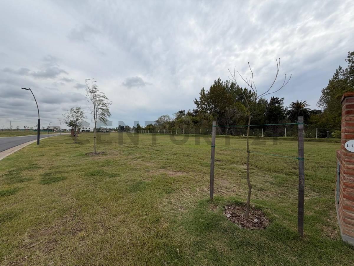 Foto de LOTE EN VENTA – NATIVAS – PUERTOS DEL LAGO, imagen 2