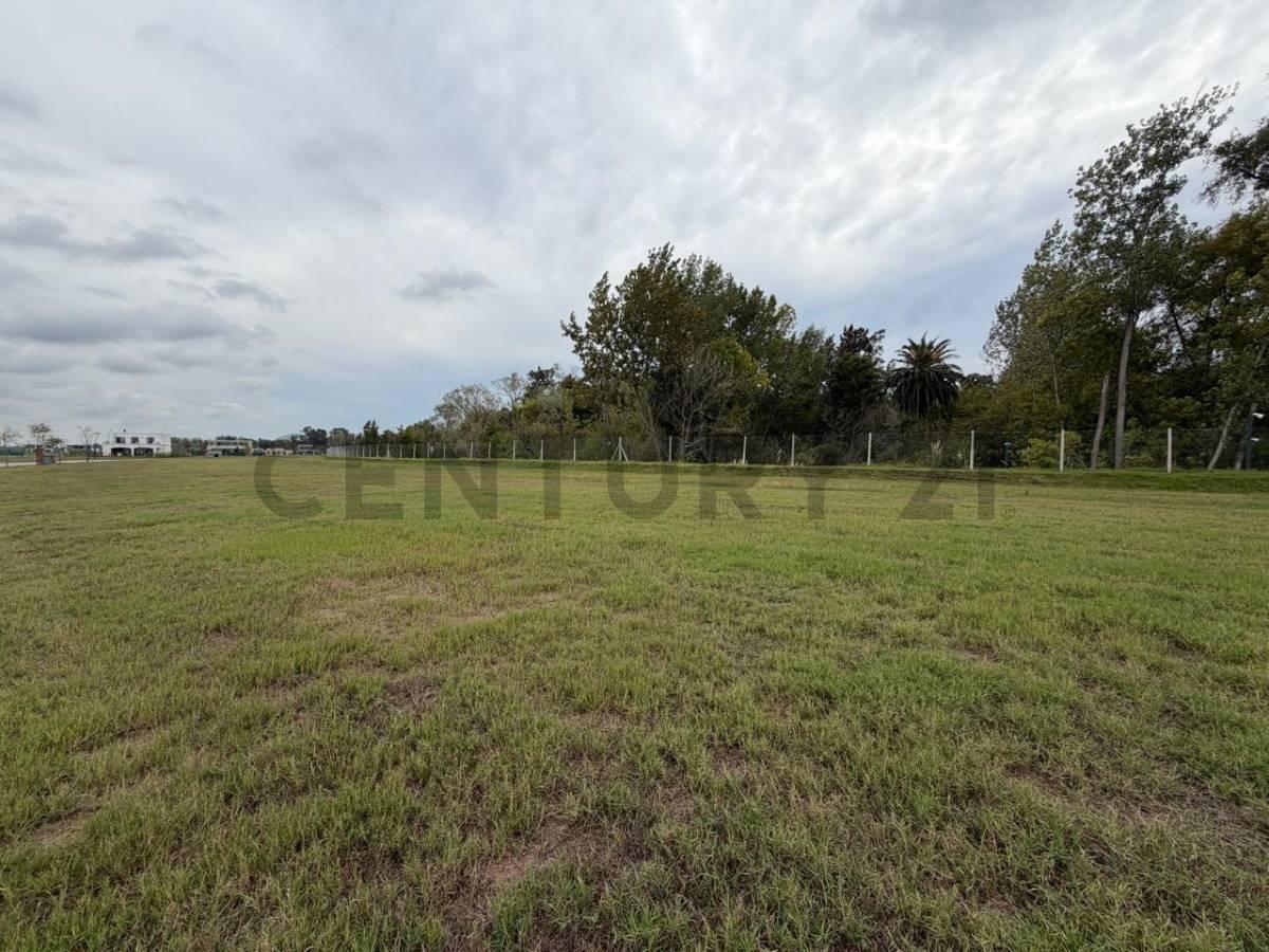 Foto de LOTE EN VENTA – NATIVAS – PUERTOS DEL LAGO, imagen 4
