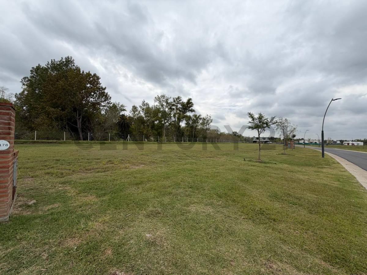 Foto de LOTE EN VENTA – NATIVAS – PUERTOS DEL LAGO, imagen 1