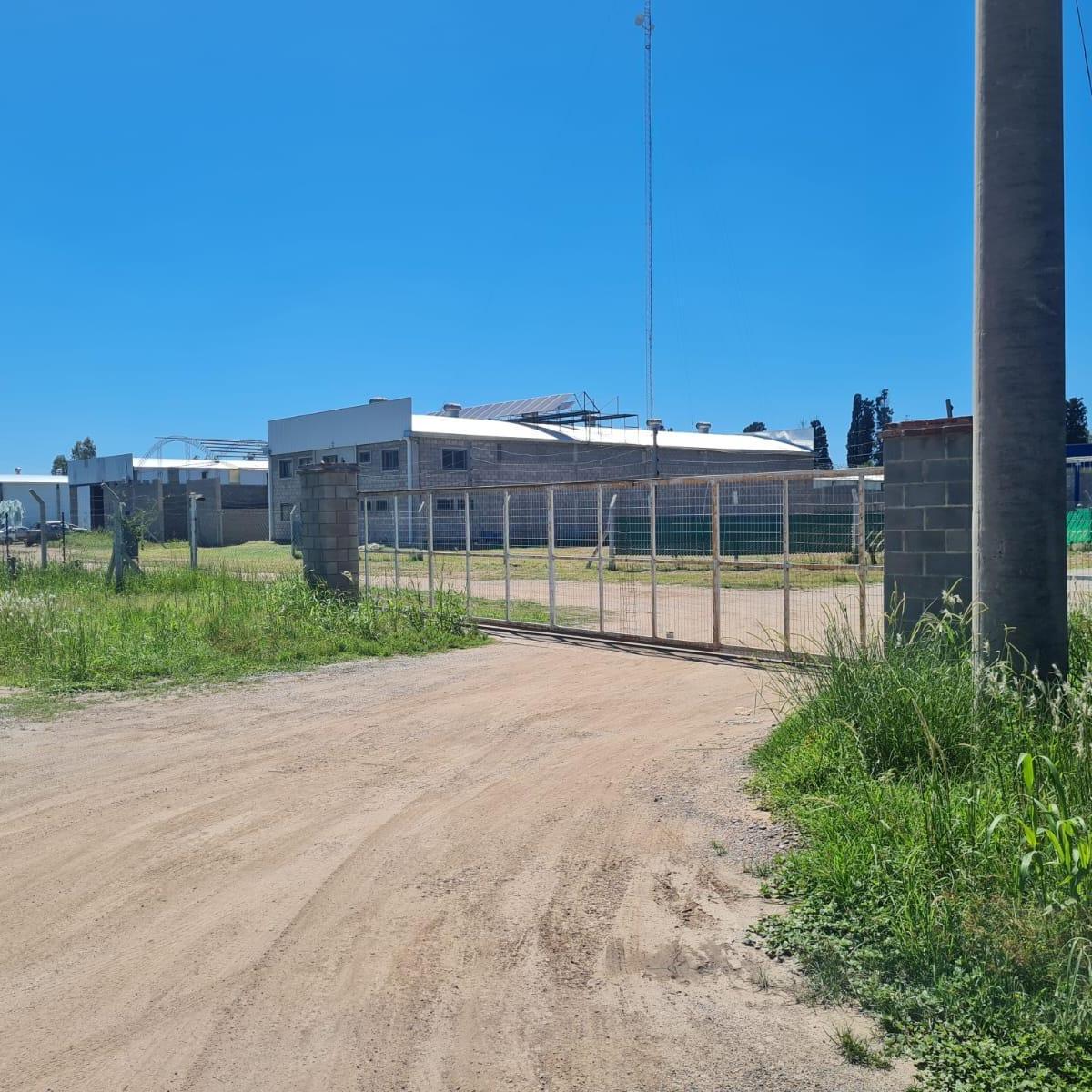 Imagen de la propiedad
