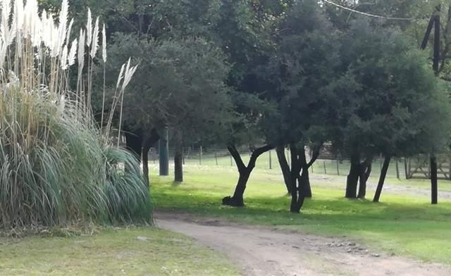 Foto de LOTES EN VENTA EL BUEN AIRE - ASCOCHINGA, imagen 1