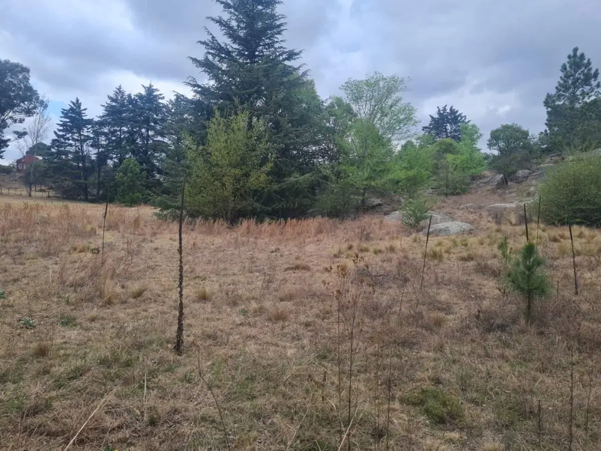 LOTE 10000 M2  APROX EN VENTA SAN CLEMENTE CENTRO 3