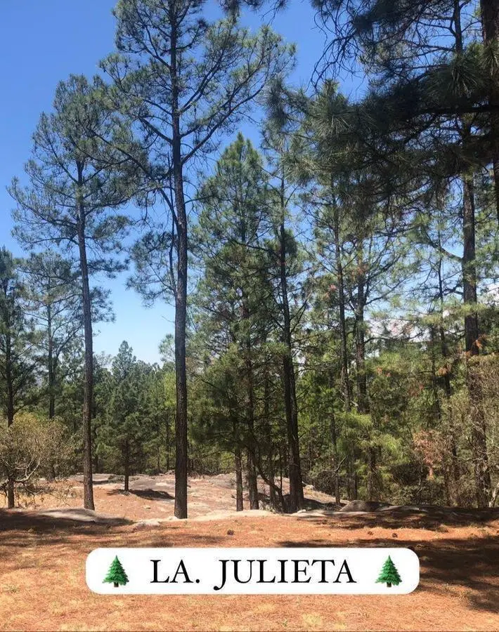 LOTES EN VENTA SAN CLEMENTE  DESDE  1 HA 5