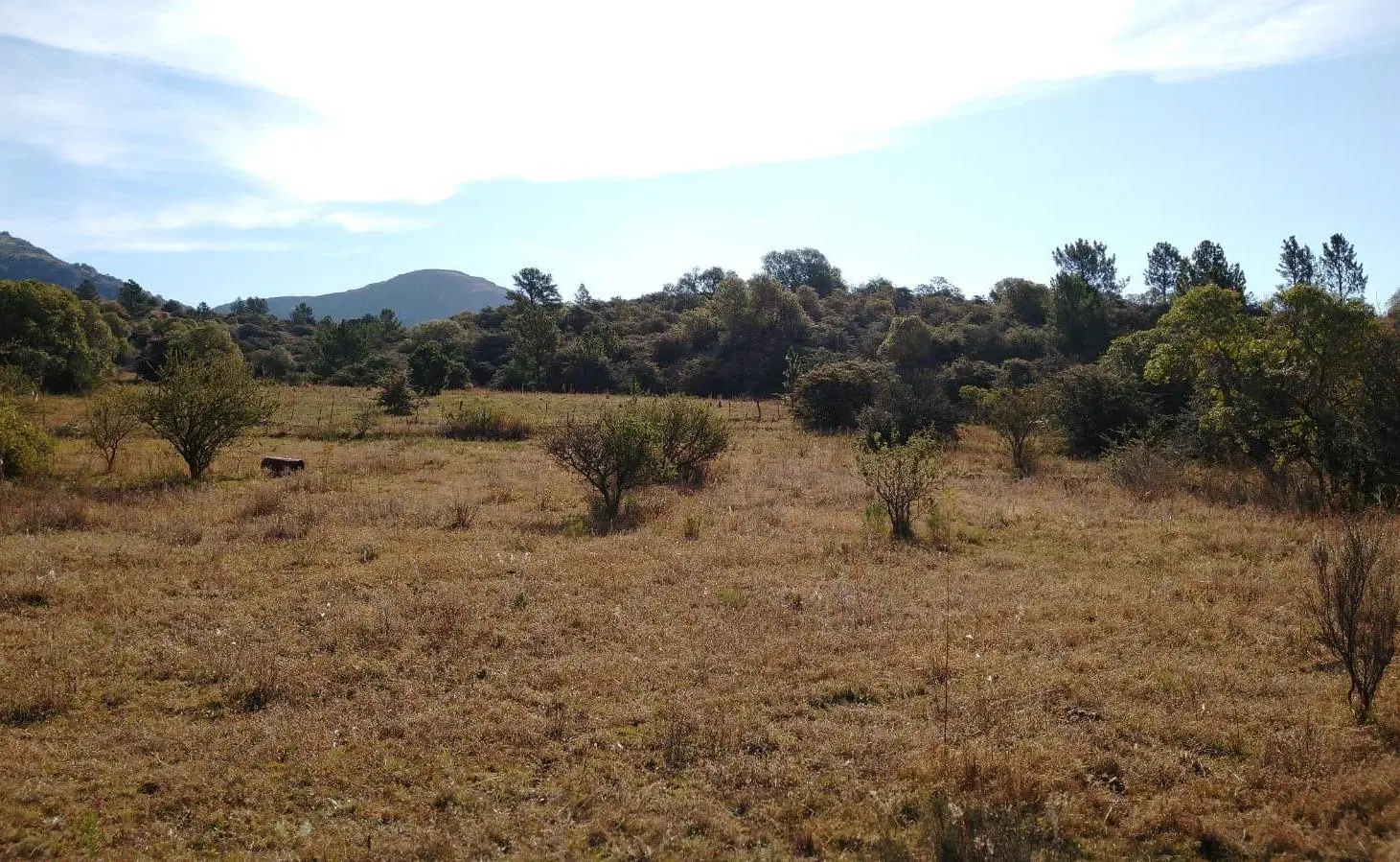 LOTE EN VENTA EN SAN CLEMENTE 4