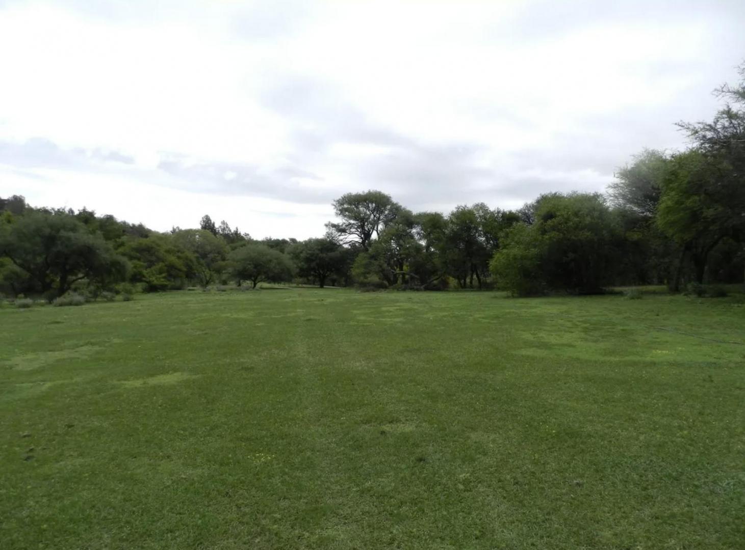 Foto de Campo 106 ha Nono Traslasierra, imagen 4