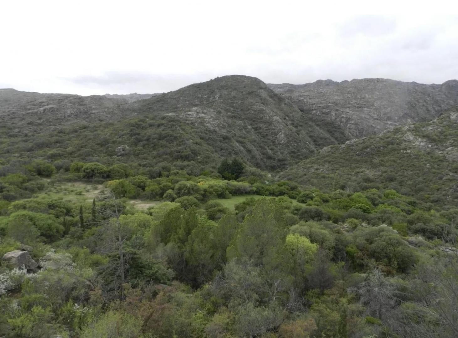 Foto de Campo 106 ha Nono Traslasierra, imagen 5