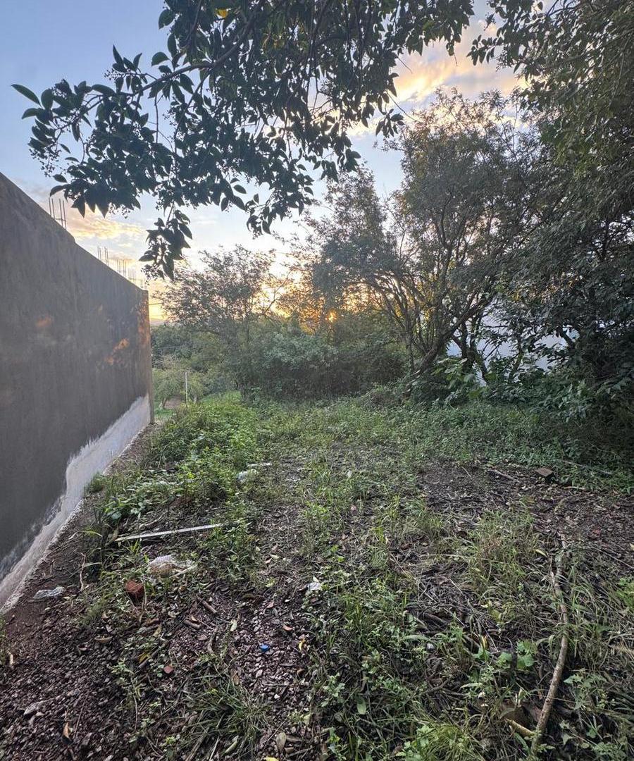 Foto de Lote en Venta en Villa Catalina - 400 m2, imagen 3