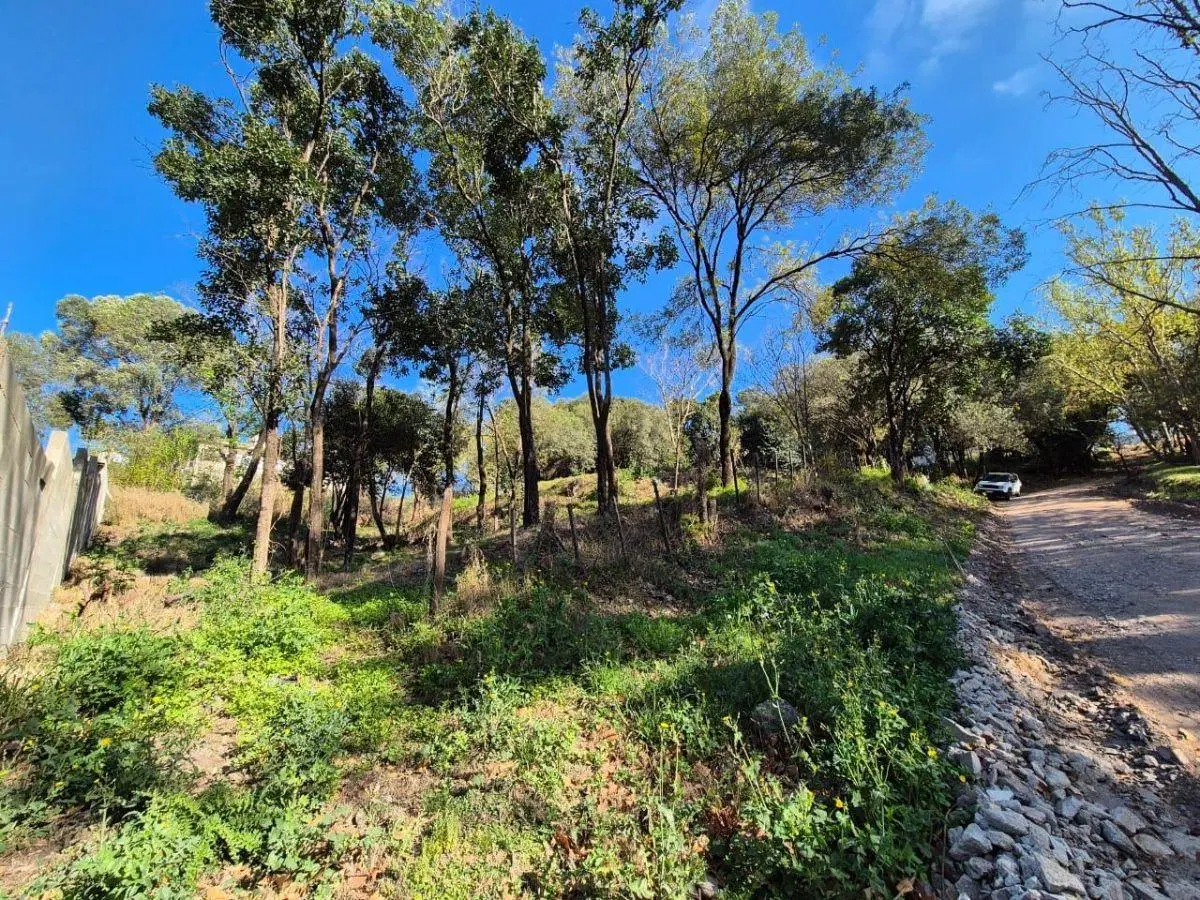 UNQUILLO - VENTA TERRENO - 1056 M2 2