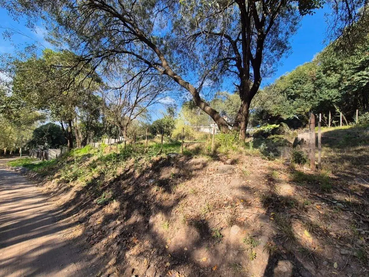UNQUILLO - VENTA TERRENO - 1056 M2 5