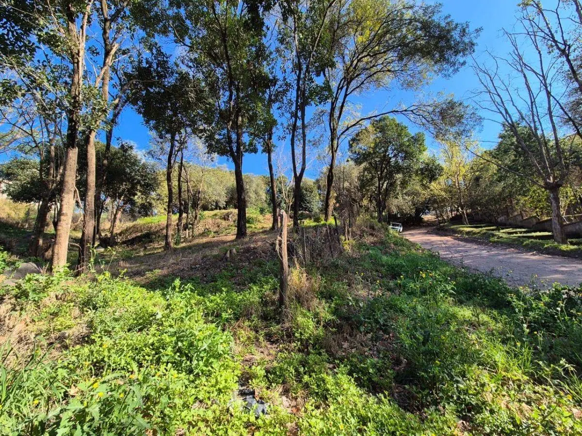 UNQUILLO - VENTA TERRENO - 1056 M2 1