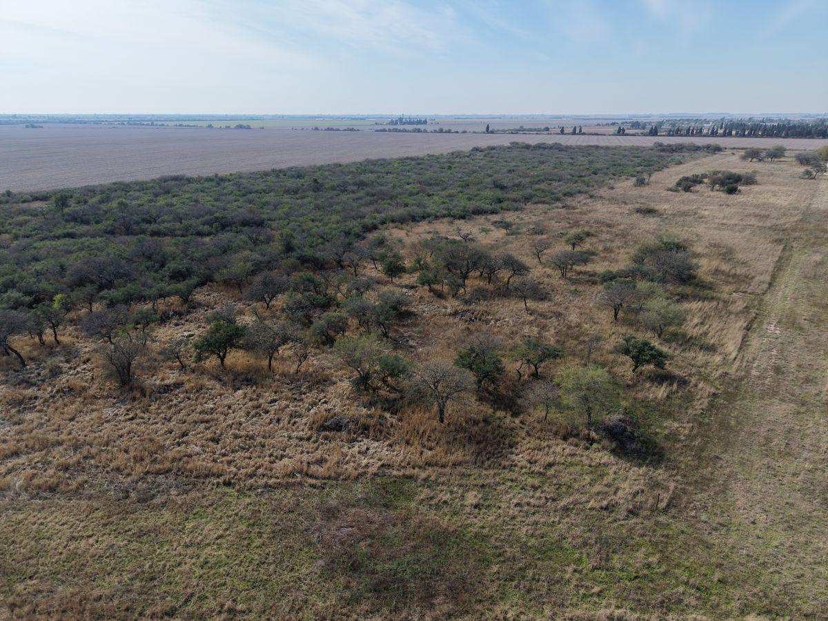Foto de VENTA GRAN LOTE TERRENO 3300 M² TOT SOBRE RN 9 EN EL INGRESO A TOLEDO, imagen 4