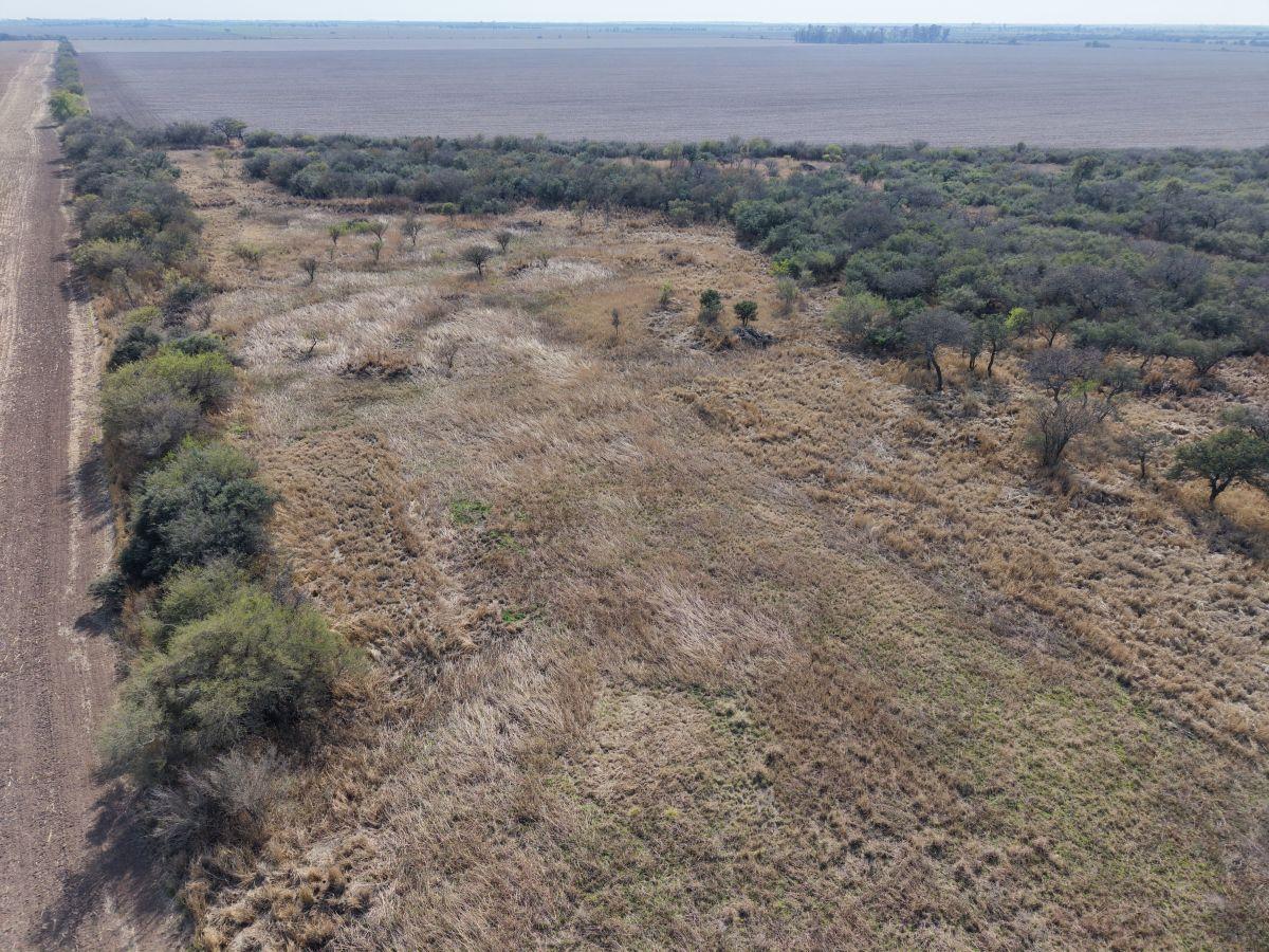 Foto de VENTA GRAN LOTE TERRENO 3300 M² TOT SOBRE RN 9 EN EL INGRESO A TOLEDO, imagen 5