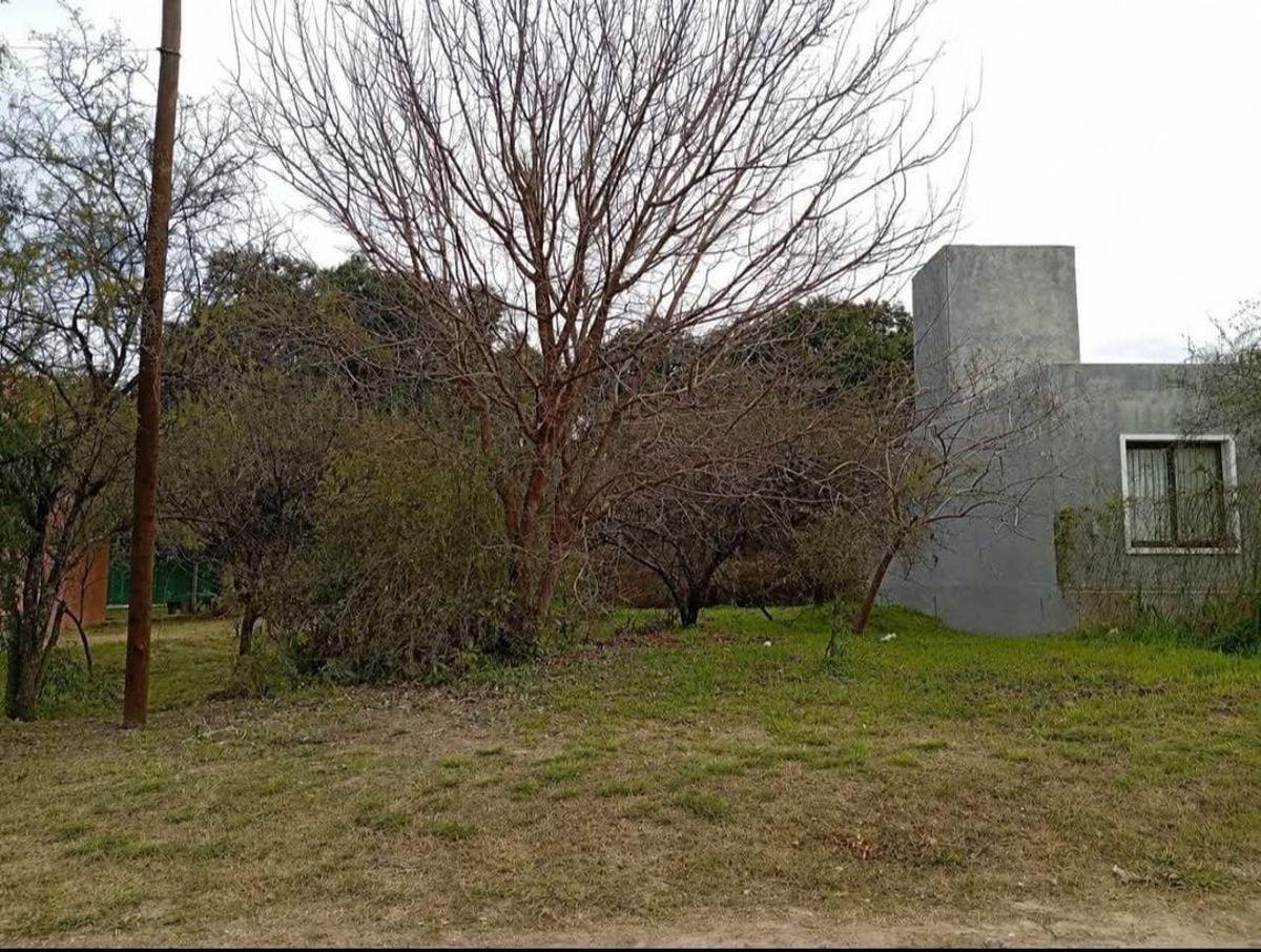 Foto de VILLA CATALINA - VENTA LOTE - 400 M2 ESCRITURA, imagen 5