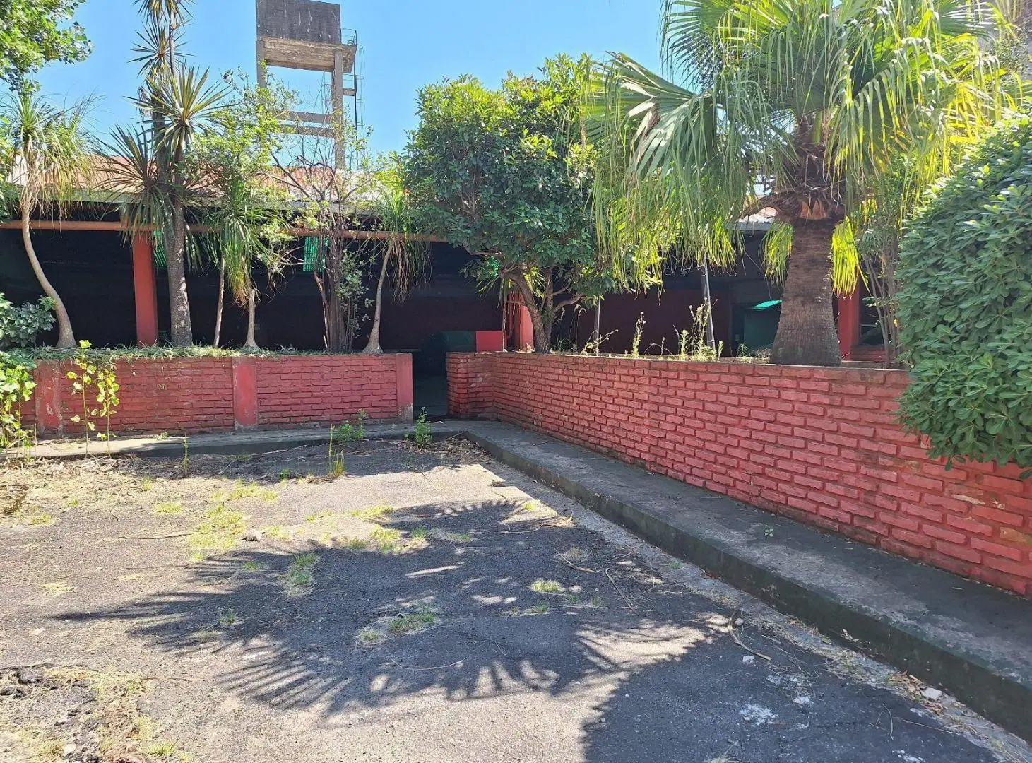 Locales en Constitucion en venta 4