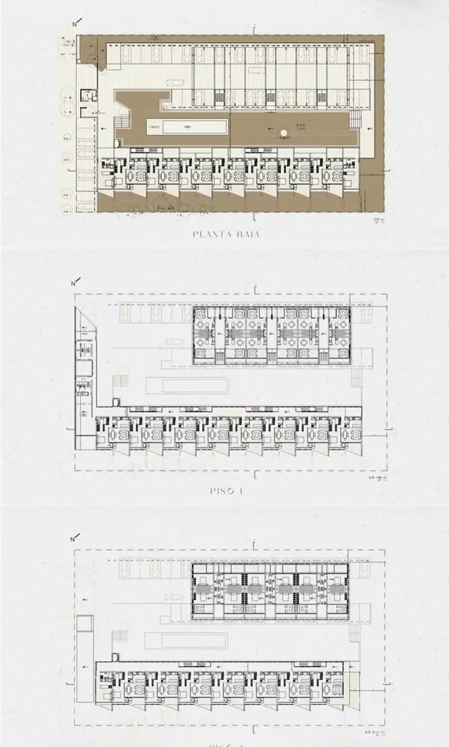 Plano 6