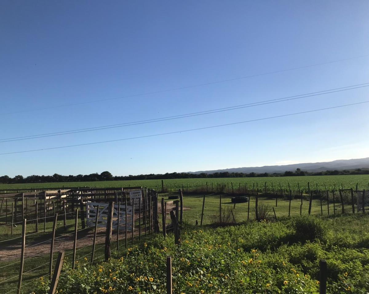 Campo en Venta “los Molinos” San Agustin 5