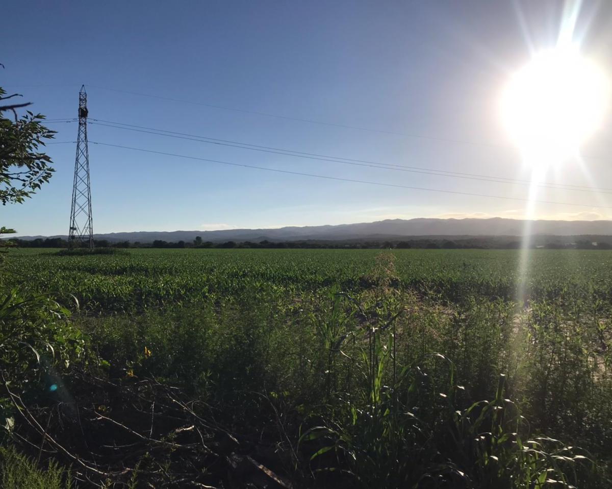 Campo en Venta “los Molinos” San Agustin 4