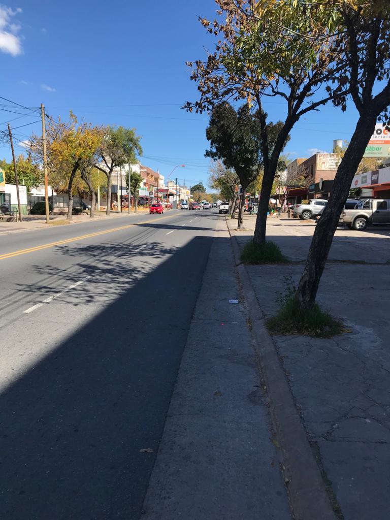 Foto de LOTE A LA VENTA SOBRE AVENIDA CARCANO AL 350 - VILLA CARLOS PAZ, imagen 3