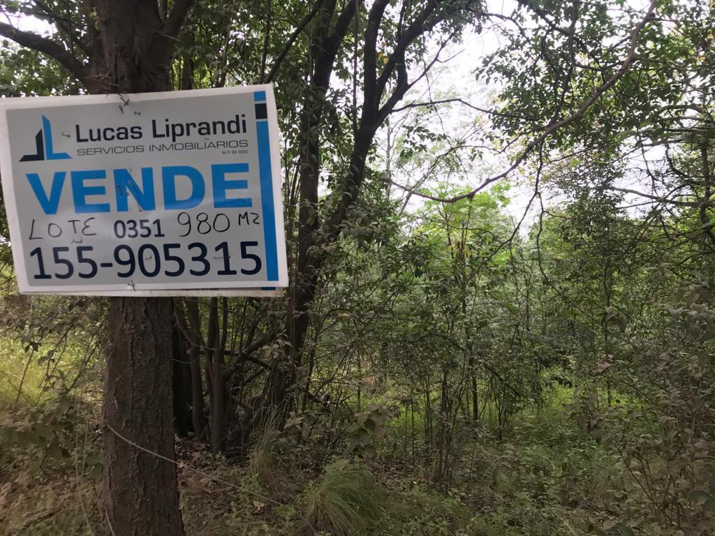 Foto de LOTE A LA VENTA EN CABANA - UNQUILLO, imagen 4