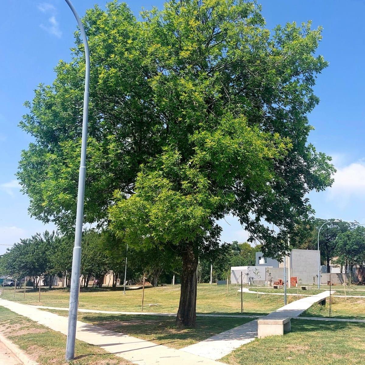 LOTEO EN VENTA EN ZONA SUR