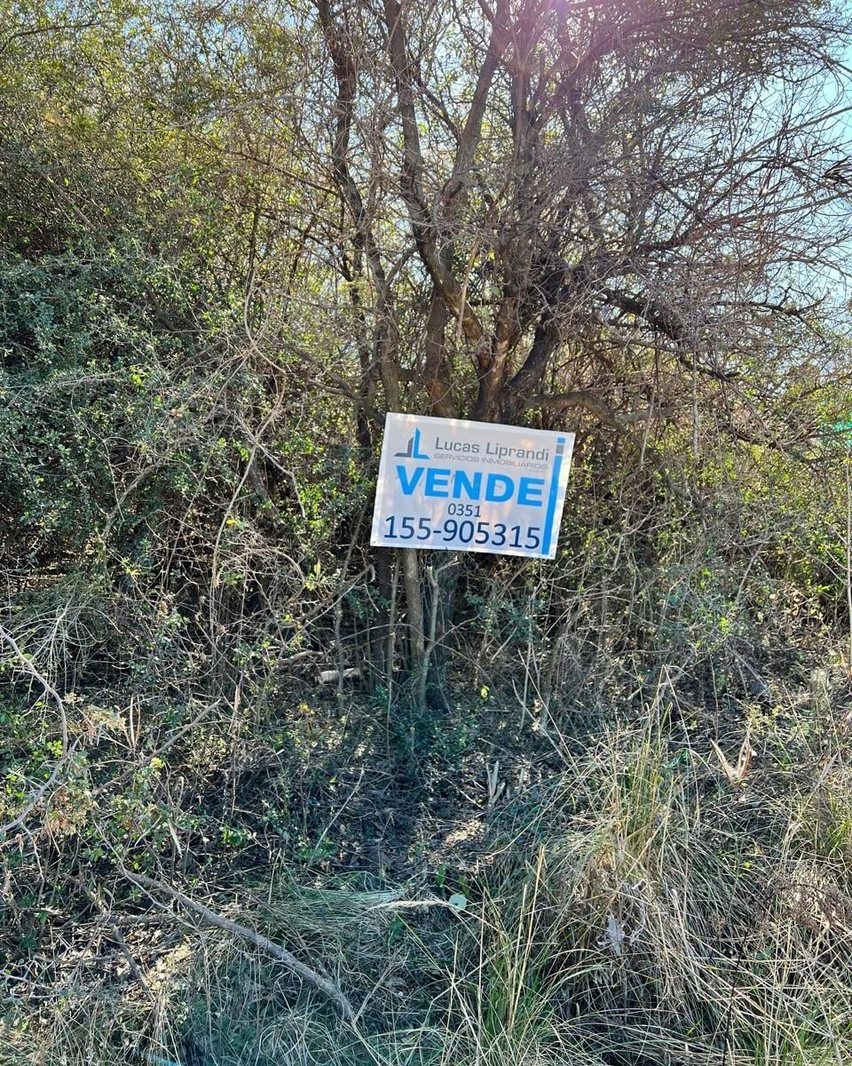 Foto de LOTE A LA VENTA EN EL MANZANO, imagen 3