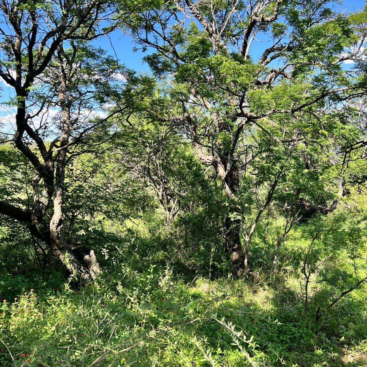 Lote a La Venta en Unquillo 5