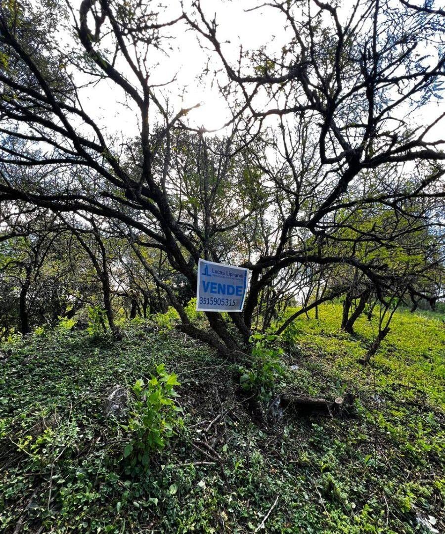 Foto de DOS LOTES A LA VENTA EN MENDIOLAZA – BARRIO LOMAS DE MENDIOLAZA, imagen 2
