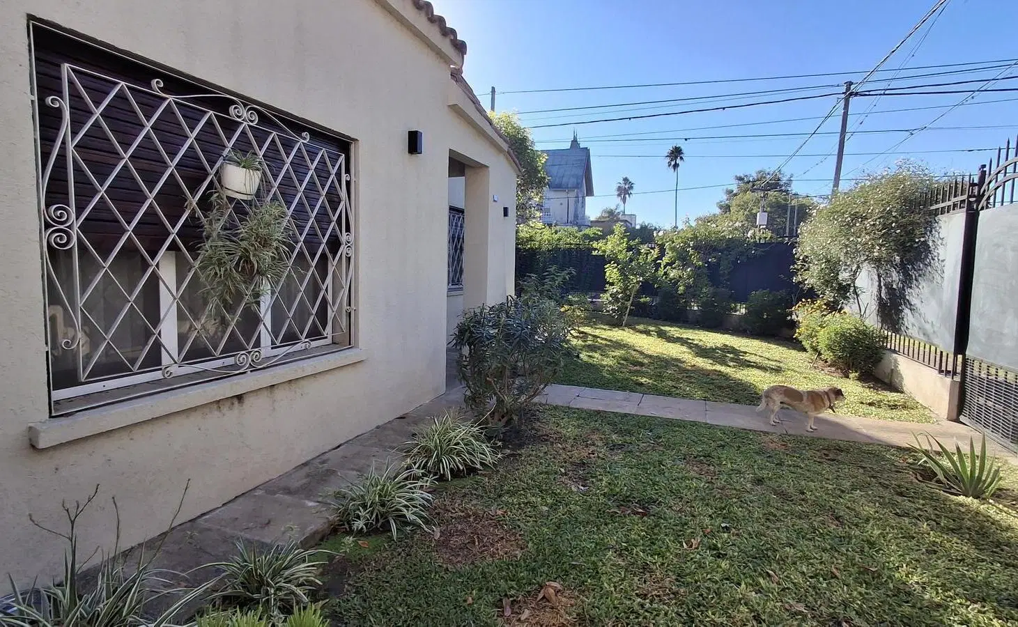 Casa 3 Dormitorios en Planta Baja VENTA - Alberdi 4