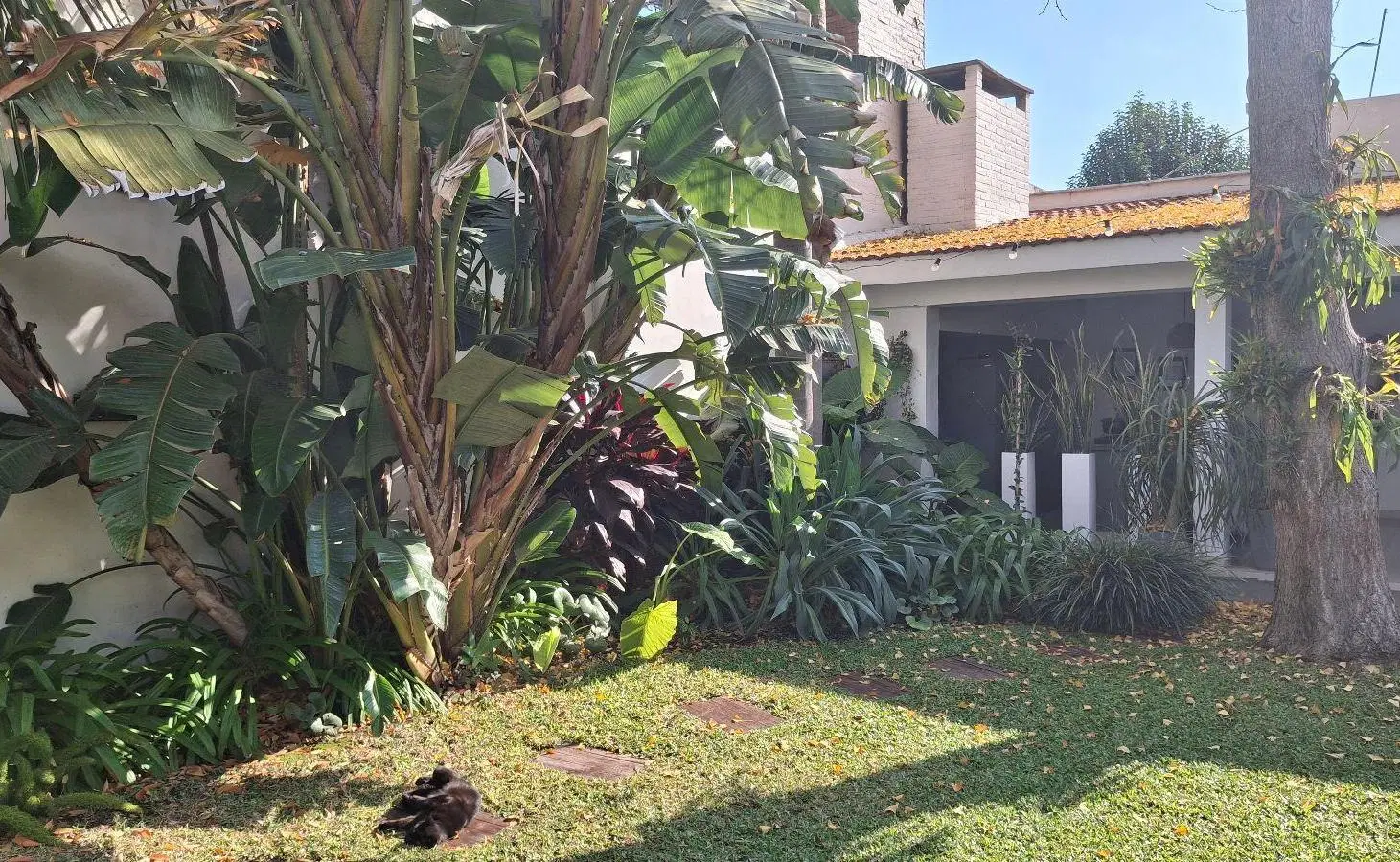Venta Casa 3 dormitorios, jardín y quincho - Alberdi 3