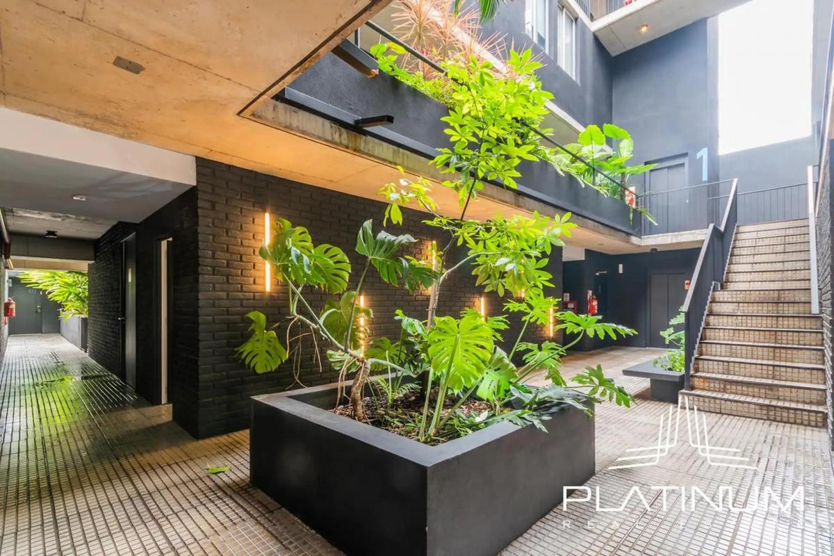Departamento Duplex con Terraza Cochera y Amenities 1