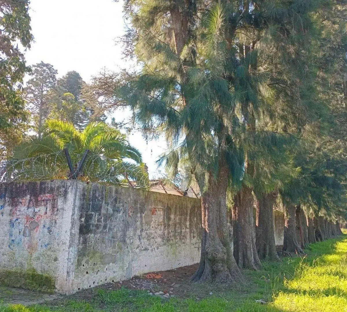 Venta de Lotes en Garín 4