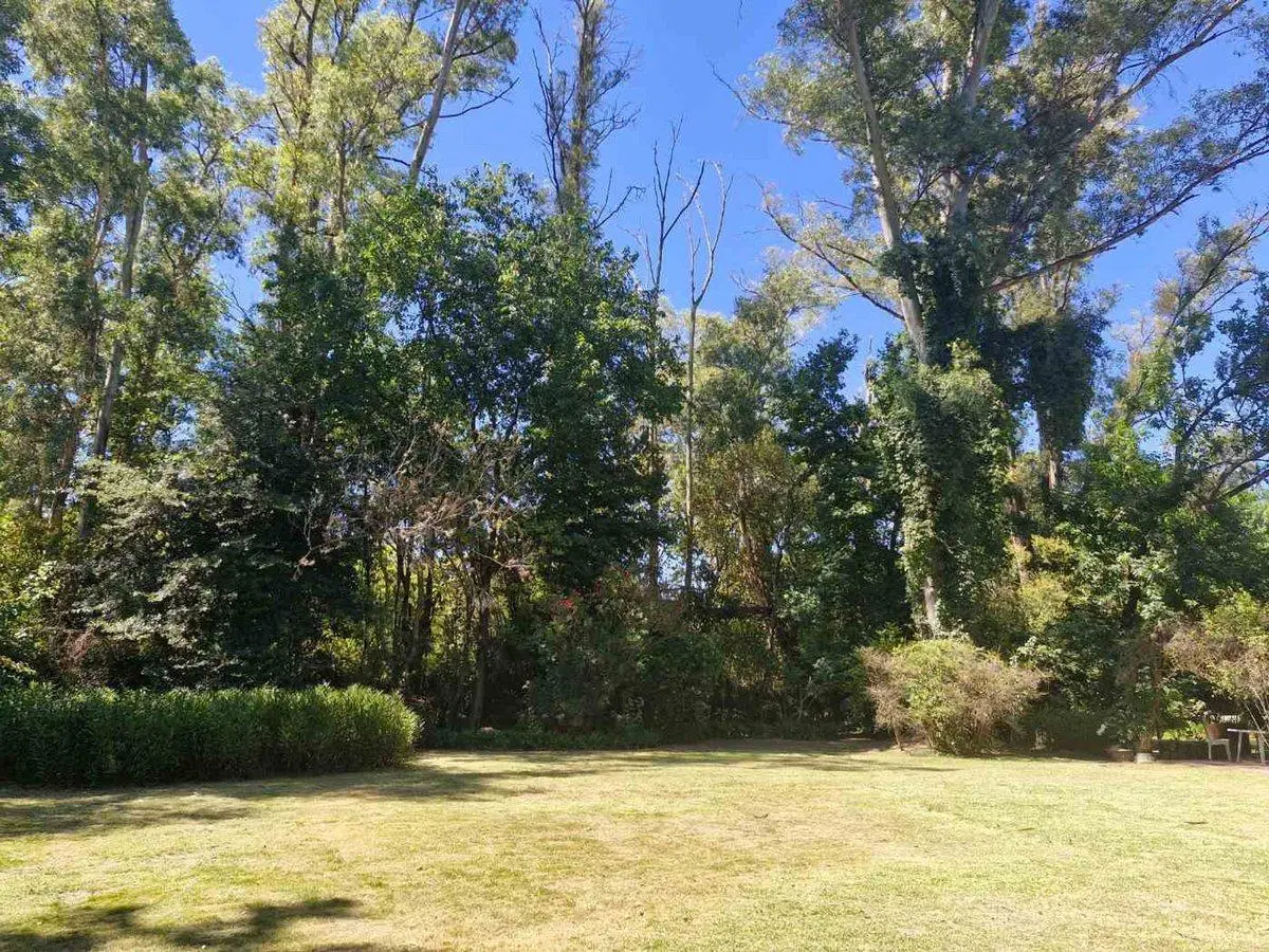 LOTE  EN VENTA LA LONJA 5