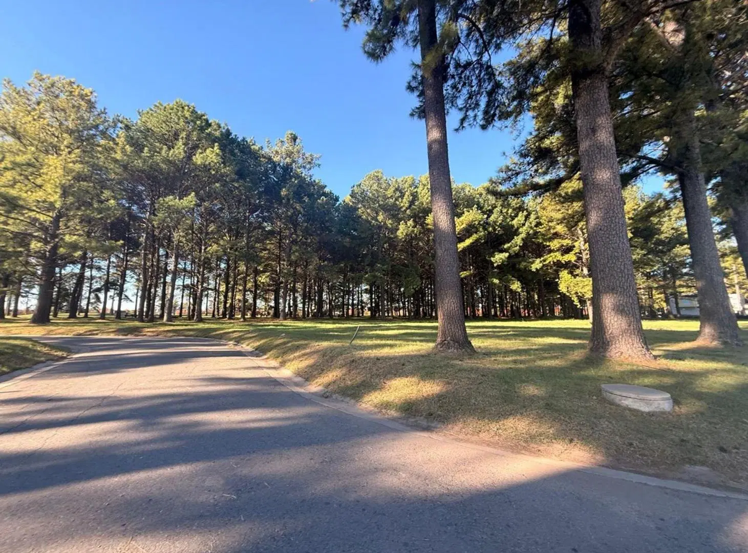 VENTA LOTE PINARES ETAPA 1 EXALTACIÓN DE LA CRUZ 4