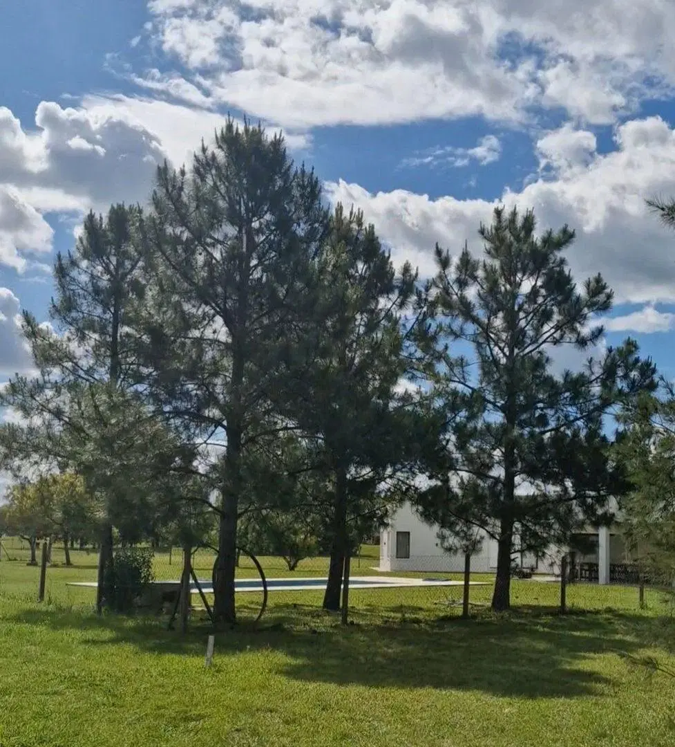 LOTE EN VENTA EN MEDAL C.C. - AL GOLF 5