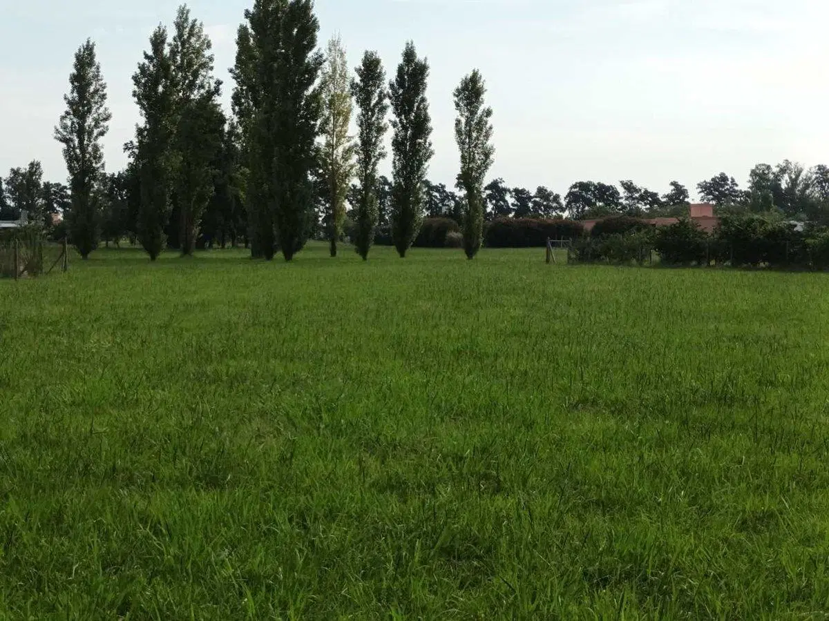 VENTA GRAN LOTE TERRENO BC LOS PALENQUES 1198M2 4
