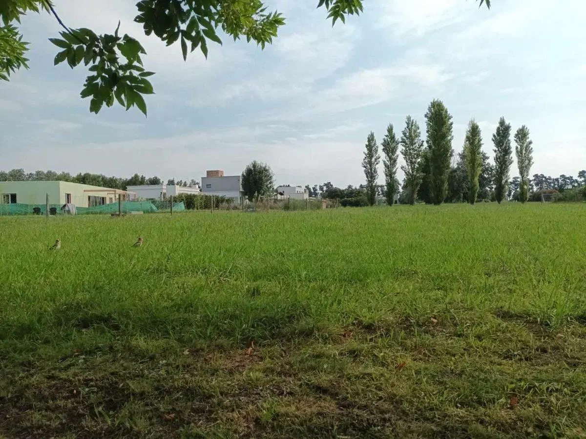 VENTA GRAN LOTE TERRENO BC LOS PALENQUES 1198M2 3