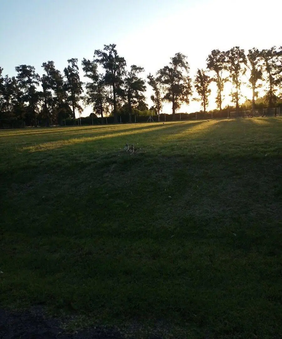 Venta Lote 1100m Escriturado B Cerrado Manzanares 3