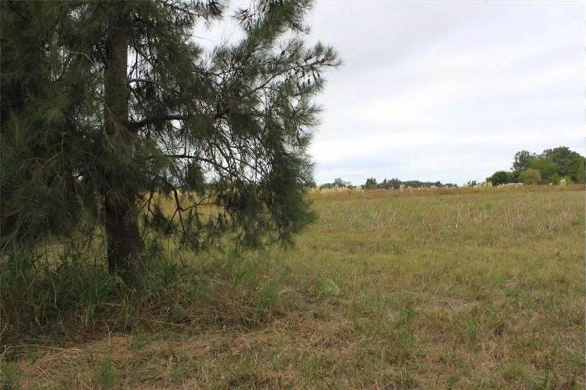 VENTA LOTES DE 2.200 M2 CARDALES CAMPANA 2